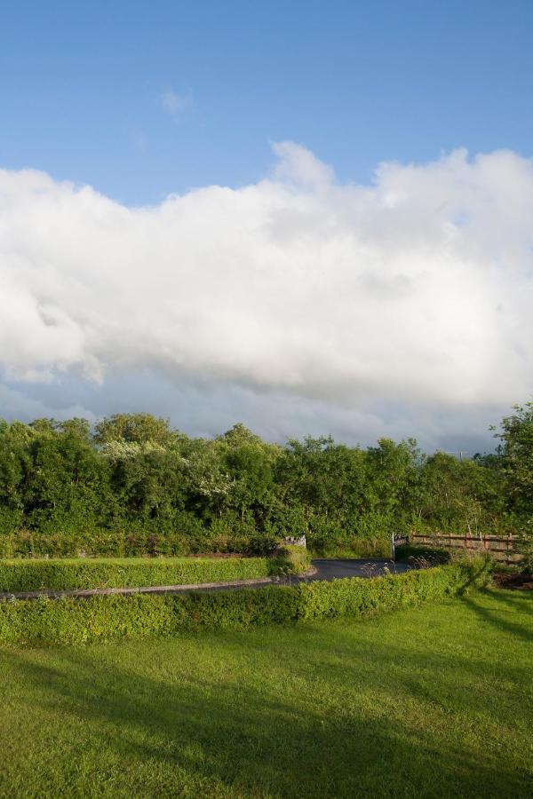 Inviting 4-Bed House In Strokestown Villa Exterior foto